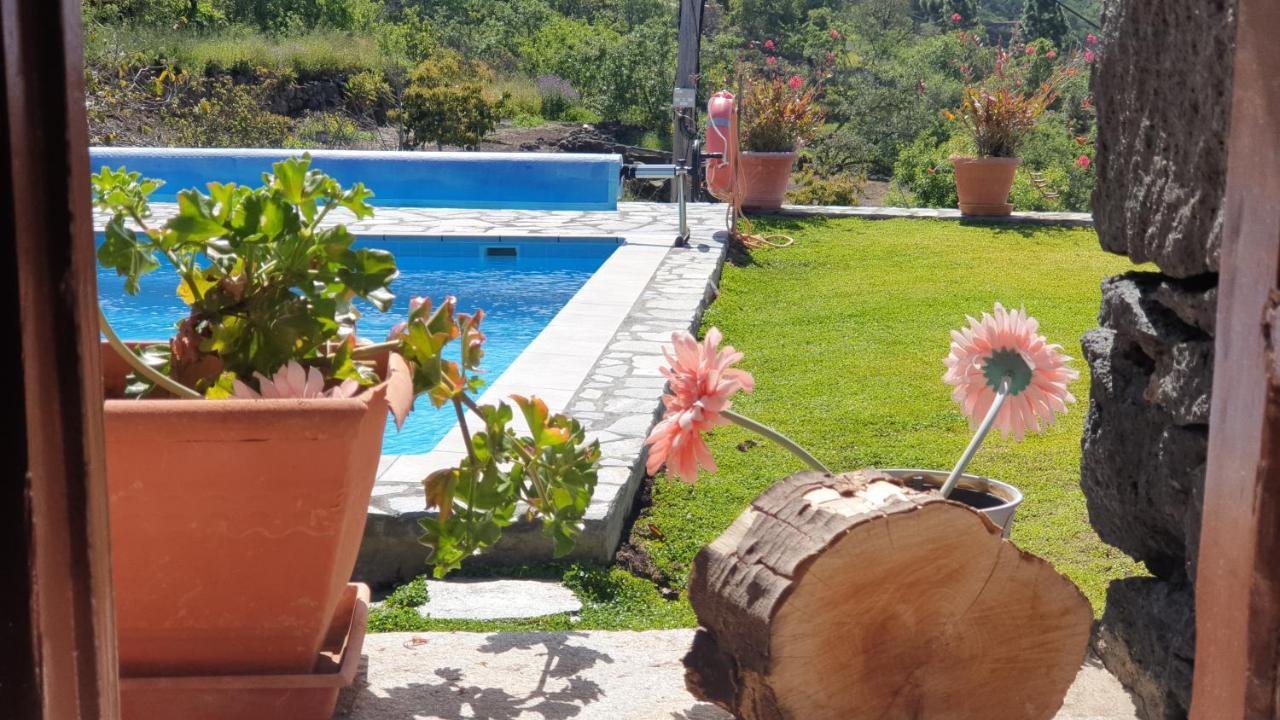 Climatized Pool Free Wifi Pareditas Casa de Férias *